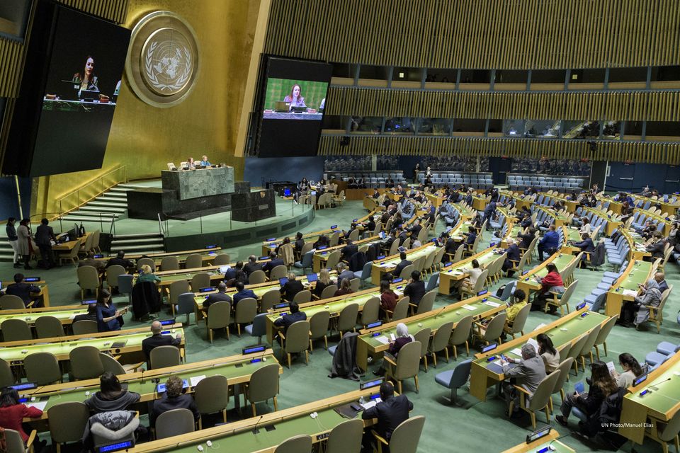 Joint statement of Ukraine and Georgia at the Special Committee on the Charter of the United Nations under agenda item “The peaceful settlement of disputes”