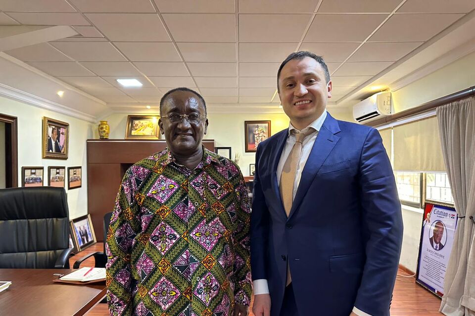 Ukraine and Ghana consider the possibility of creating logistics hubs for food storage